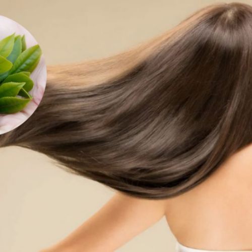 Công dụng của trà xanh đối với tóc như thế nào ?