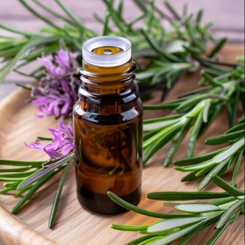 Rosemary Essential Oil - Tinh dầu hương thảo
