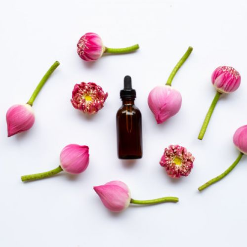 Lotus Essential Oil - Tinh dầu hoa sen