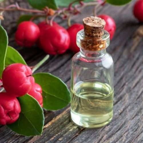 Wintergreen Essential Oil - Tinh dầu lộc đề xanh