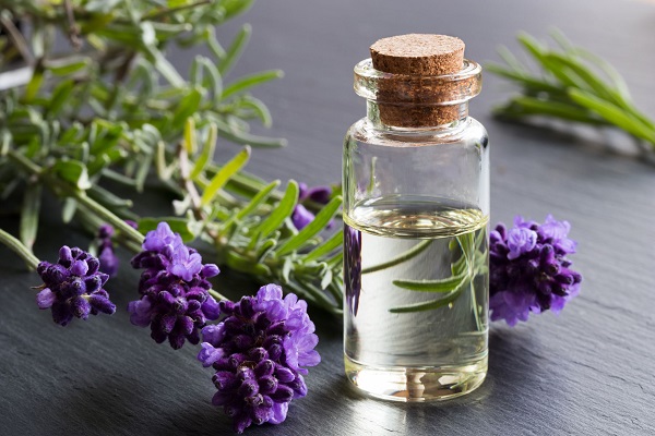 tinh-dau-oai-huong-lavender-oil-lavandula-angustifolia-oil-1